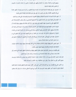 تقرير المدقق 2024